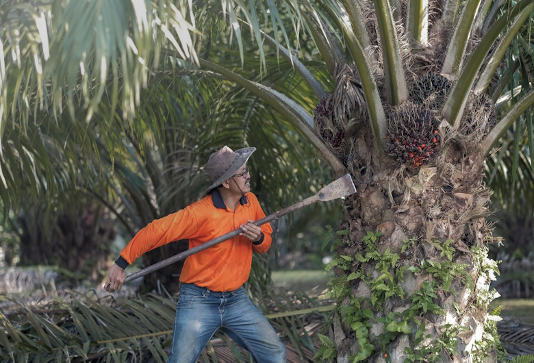 Mahasiswa-Ini-Bersemangat-Mengikuti-Praktikum-Teknik-Pemupukan-Kelapa-Sawit