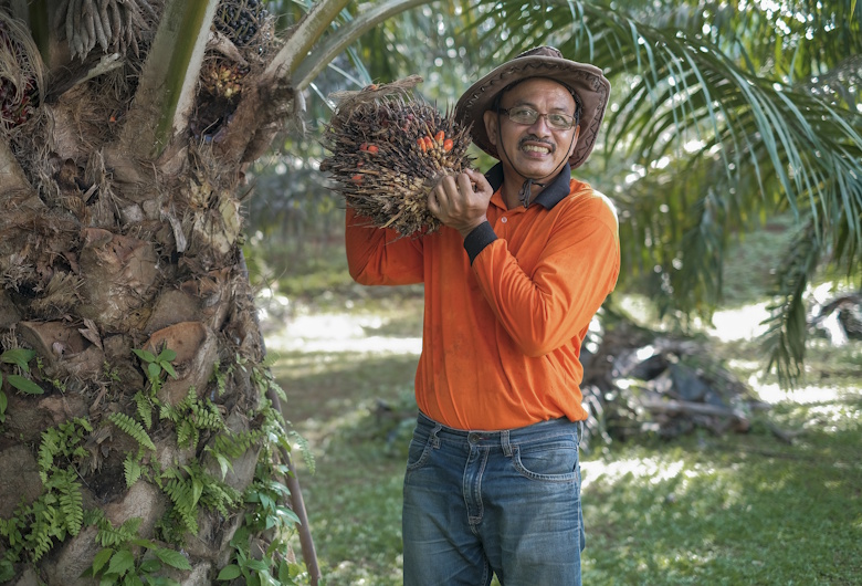 Sawit-Dipastikan-Telah-Terapkan-Praktik-Berkelanjutan