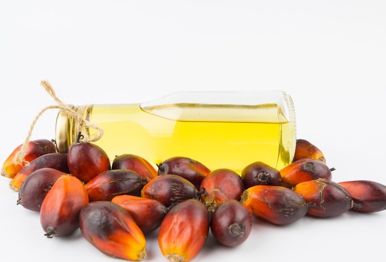 Mengenal Apa Itu Crude Palm Oil (CPO)