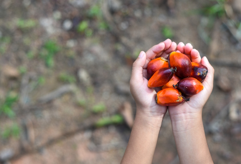Peranan-SDM-Dalam-Pengelolaan-Perkebunan-Sawit-Berwawasan-Lingkungan