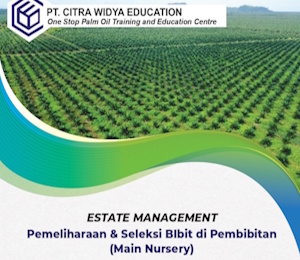 Pemeliharaan-Seleksi-Bibit-di-Pembibitan-Main-Nursery