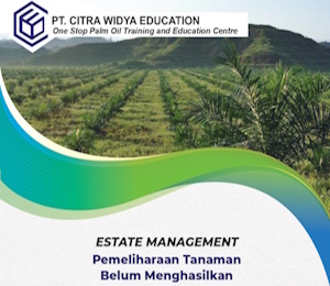 Pemeliharaan-Tanaman-Belum-Menghasilkan