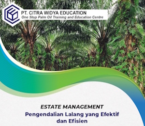 Pengendalian-Lalang-yang-Efektif-dan-Efisien