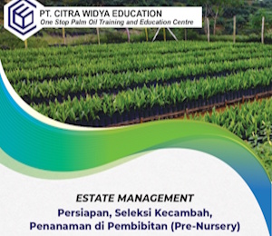 Persiapan-Seleksi-Kecambah-Penanaman-di-Pembibitan-Pre-Nursery