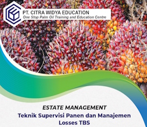 Teknik-Supervisi-Panen-dan-Manajemen-Losses-TBS
